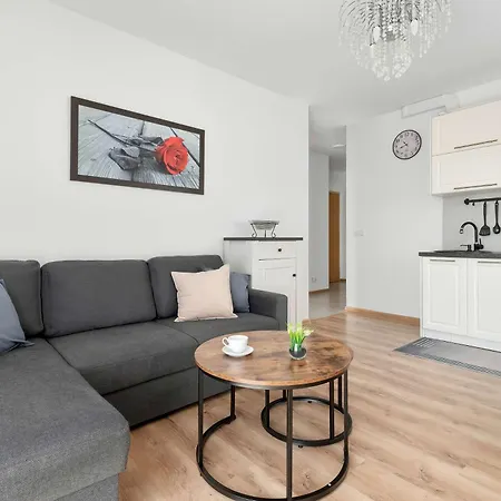 Cozy & Functional With Parking And Balcony By Renters Apartment *